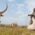 Three killed, 10 injured in violence after cattle raid in Uror