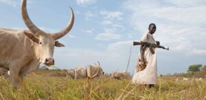 Three killed, 10 injured in violence after cattle raid in Uror