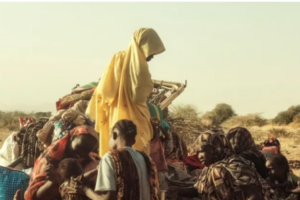 Sudan: UN says 89 killed in El Fasher