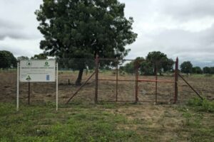 South Sudan launches farming project for women, youth
