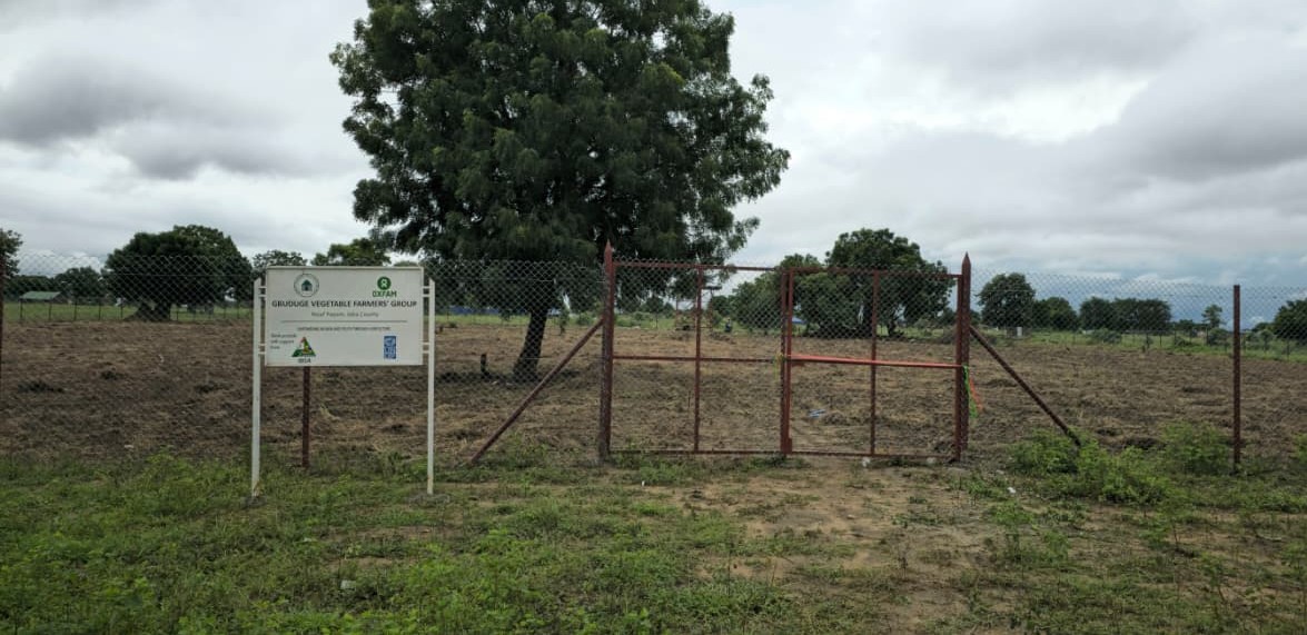 South Sudan launches farming project for women, youth