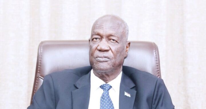 Machar’s arrest a criminal matter, not political – Kuol