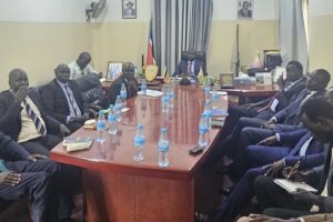 Pibor launches employee screening to remove ‘ghost workers’