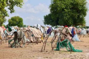 Manyang-Ngok IDPs in Warrap need humanitarian assistance