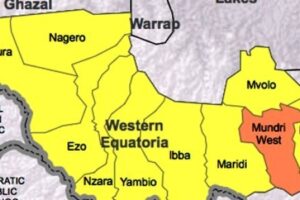 Armed group attacks chief, workers at bridge project in Ibba County