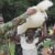 SSPDF base attacked in Nagero County, civilians panic