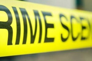 Mother killed in cattle raid in greater Pibor