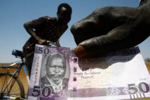 South Sudan denies reports of SSP circulating in Darfur, Kordofan