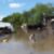 Floods inundate over 200 homes, shops in Pibor