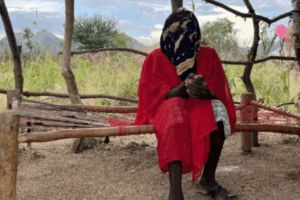 Nuba Mountains: Sudanese rebel group accuses army of war crimes