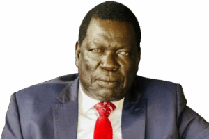 Motion to summon VP Bol Mel rejected, says MP