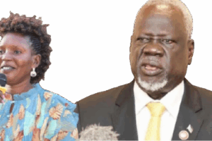 Jonglei politics freeze legislative assembly
