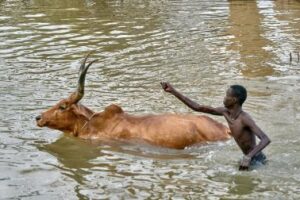 Ayod County faces humanitarian crisis after floods