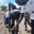 Jur River County reports poor harvest amidst hunger