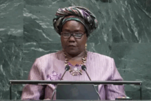  VP Lagu tells UN Machar arrest was not political