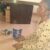 Woman arrested in Bor on ‘witchcraft’ charges