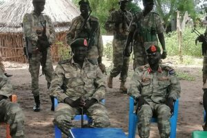 SSPDF announces capture of strategic Wunkur area