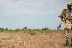 Suspected SPLA-IO forces kill 7 SSPDF soldiers in Maridi attack