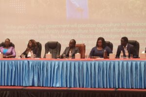 South Sudan launches Agrofood Expo 2026 to boost agricultural sector