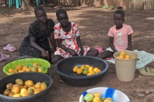 Open letter to Hon. Adut Salva to address the plight of the Anyuak Community in Pochalla
