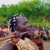 Ayod officials warn that SPLA-IO, White Army moving to attack Upper Nile