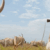 Twic East-Duk tensions spike after cattle raid