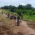 3 civilians killed in ambush in Tambura County: official