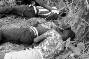 Attack in Nagero county kills 7 youths hiding in bush