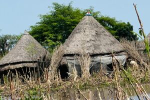 Floods displace more than 3,000 households in Akobo