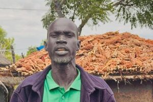 Cultivating a future: Akobo farmers look to peace and plows
