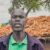 Cultivating a future: Akobo farmers look to peace and plows