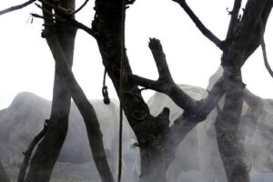 30 dead in cattle raiding upsurge in Nyirol, Ayod