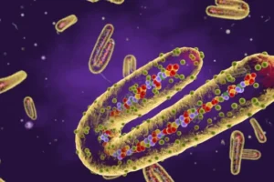 لماذا يثير “ماربورغ” الرعب؟ قصة الفيروس الذي وضع جنوب السودان في حالة تأهب حدودي