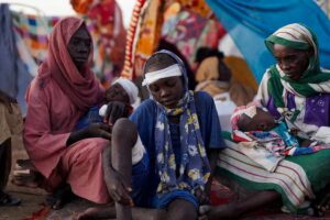 OCHA warns of dire situation of El Fasher displaced