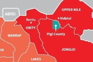Over 500 IDPs in Pigi lack food, shelter