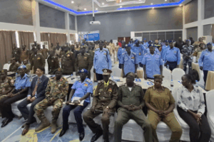 UNDP, partners hold gender diversity validation workshop for inclusive security sector