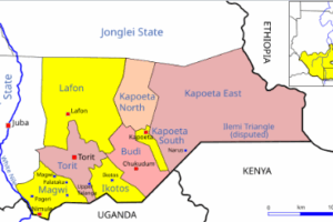 Open letter to His Excellency Louis Lobong Lojore, Governor of Eastern Equatoria State