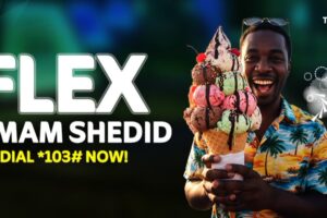 Zain Telecom launches new voice, data products