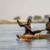 Security forces take control of contested Jonglei fishing islands