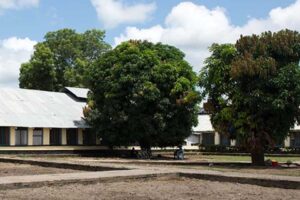 Opinion| Change resistance and its consequences in healthcare: The case of Bor State Hospital