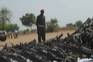 Disarmament ongoing in Bor as Red Belt group labelled threat