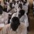 School hit by airstrike during CSE exams in Jonglei