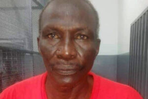 ICC sentences Darfur militia leader Ali Kushayb to 20 years in prison