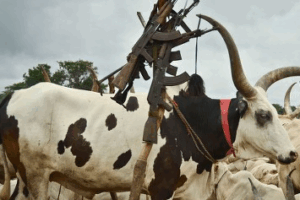 مقتل 5 وإصابة 5 أشخاص في اشتباكات بين الجيش ومسلحين محليين في ميوم