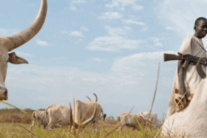 Violence rises in Duk County during festive season