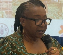 Women mediators bridge divides, lead peace efforts in South Sudan