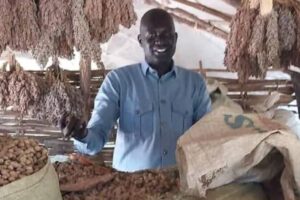 CRS reports farming project success in Lakes State