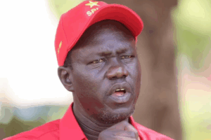 SPLM pushes for declaration of election constituencies