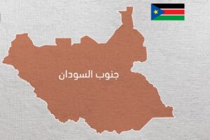 دليل شامل: الإجراءات القانونية لترسيم الدوائر الجغرافية في جنوب السودان