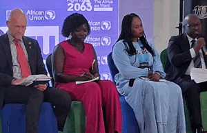 EU reaffirms long-term peace, development commitment to South Sudan